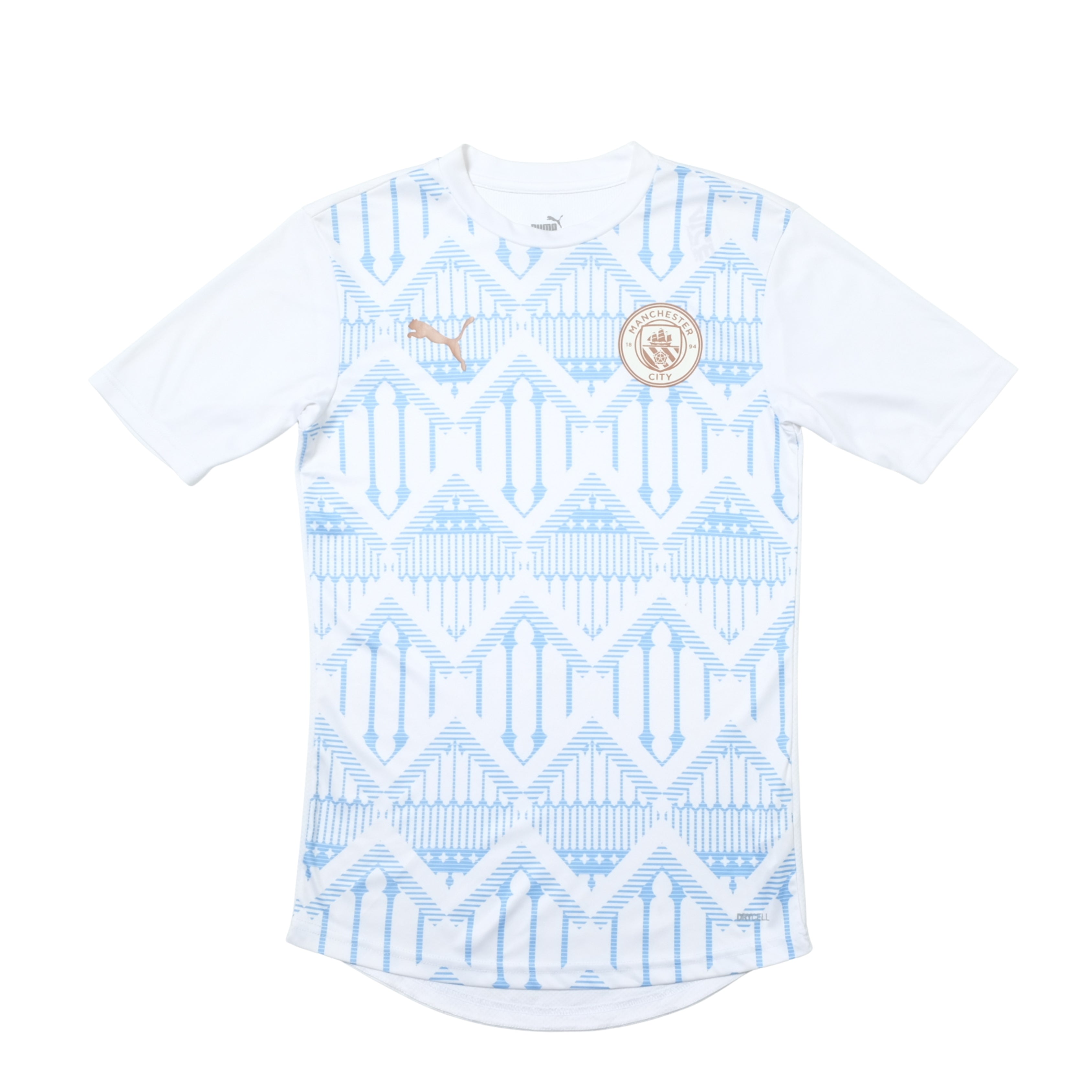 2020/21 Manchester City Pre-Match Shirt Puma (M)