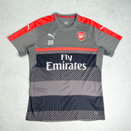 2016/17 Arsenal Training Shirt Puma (L/XL)