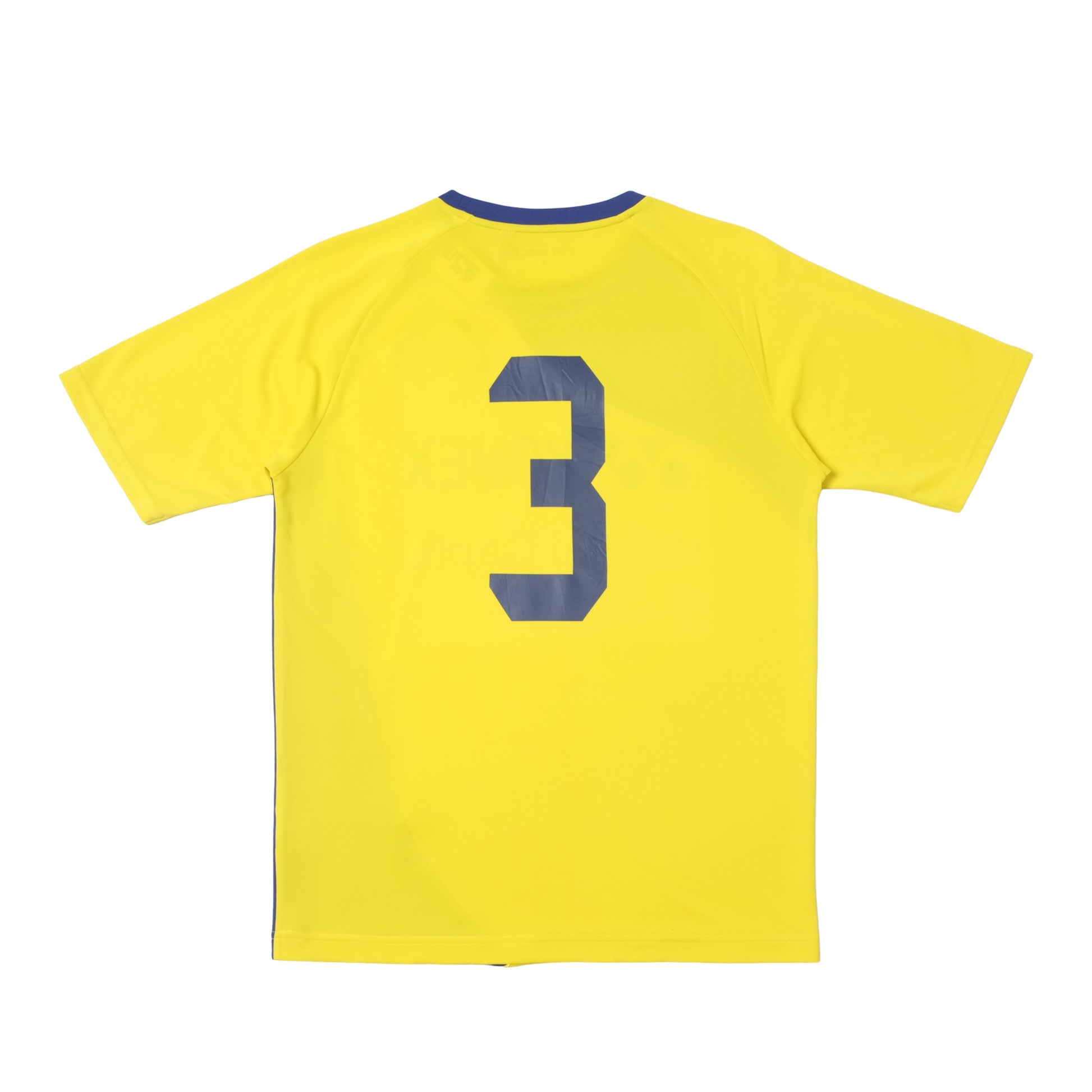 2015/16 Kashiwa Reysol Training Shirt Yonex J-League (M)
