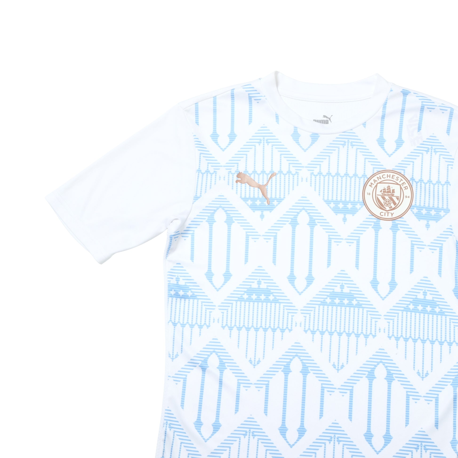 2020/21 Manchester City Pre-Match Shirt Puma (M)